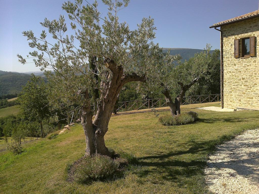 Agriturismo Paradiso 44 Asyż Zewnętrze zdjęcie
