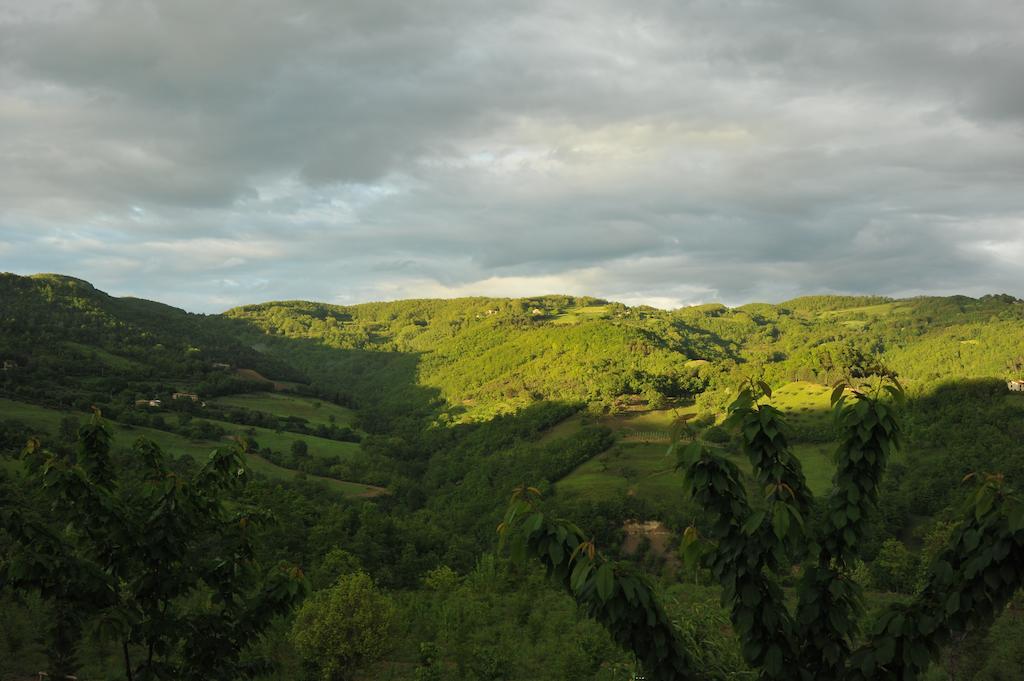 Agriturismo Paradiso 44 Asyż Zewnętrze zdjęcie