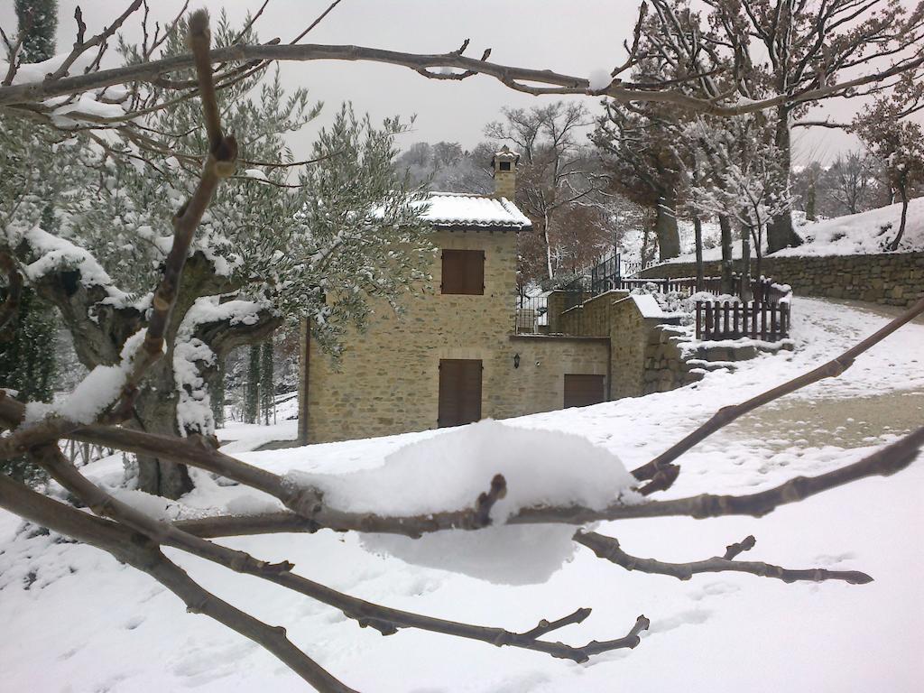 Agriturismo Paradiso 44 Asyż Zewnętrze zdjęcie