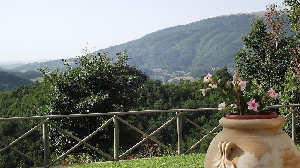 Agriturismo Paradiso 44 Asyż Zewnętrze zdjęcie
