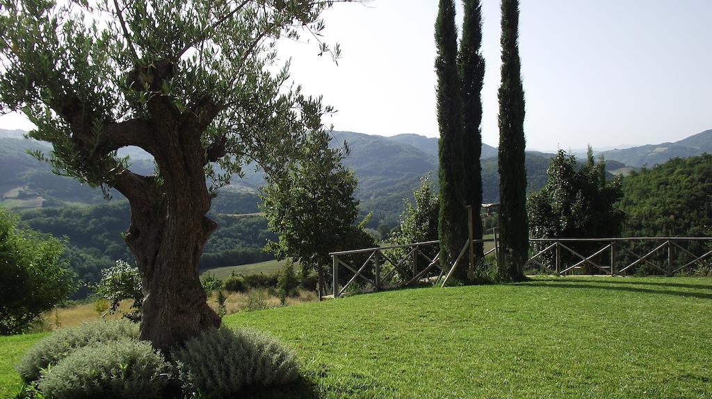 Agriturismo Paradiso 44 Asyż Zewnętrze zdjęcie