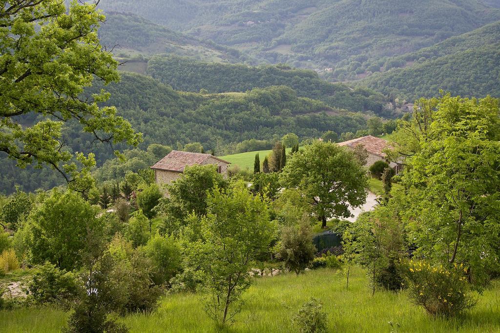 Agriturismo Paradiso 44 Asyż Zewnętrze zdjęcie