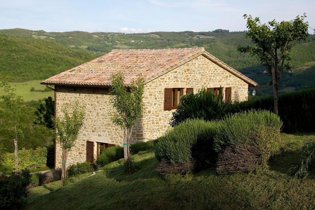 Agriturismo Paradiso 44 Asyż Zewnętrze zdjęcie